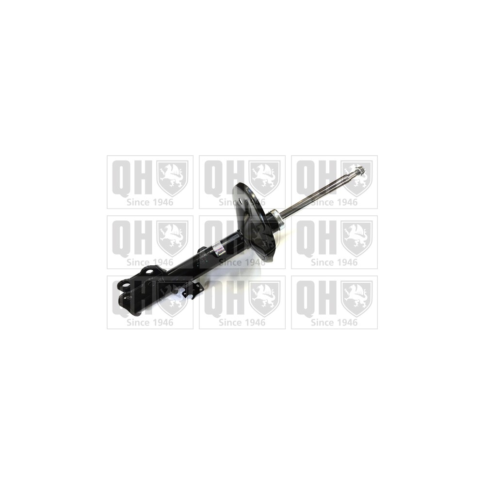 Image for QH QAG181368 Shock Absorber