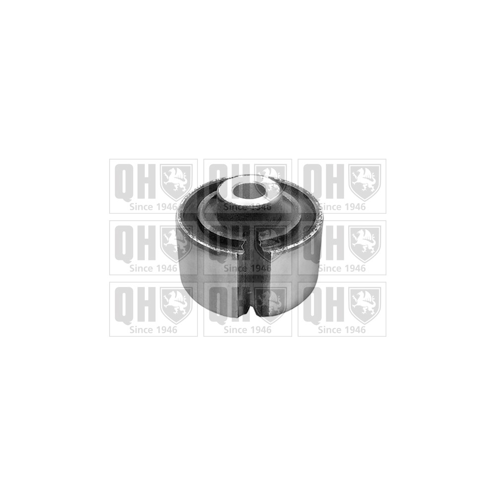 Image for QH EMS8485 Suspension Arm Bush - Rear Upper LH & RH