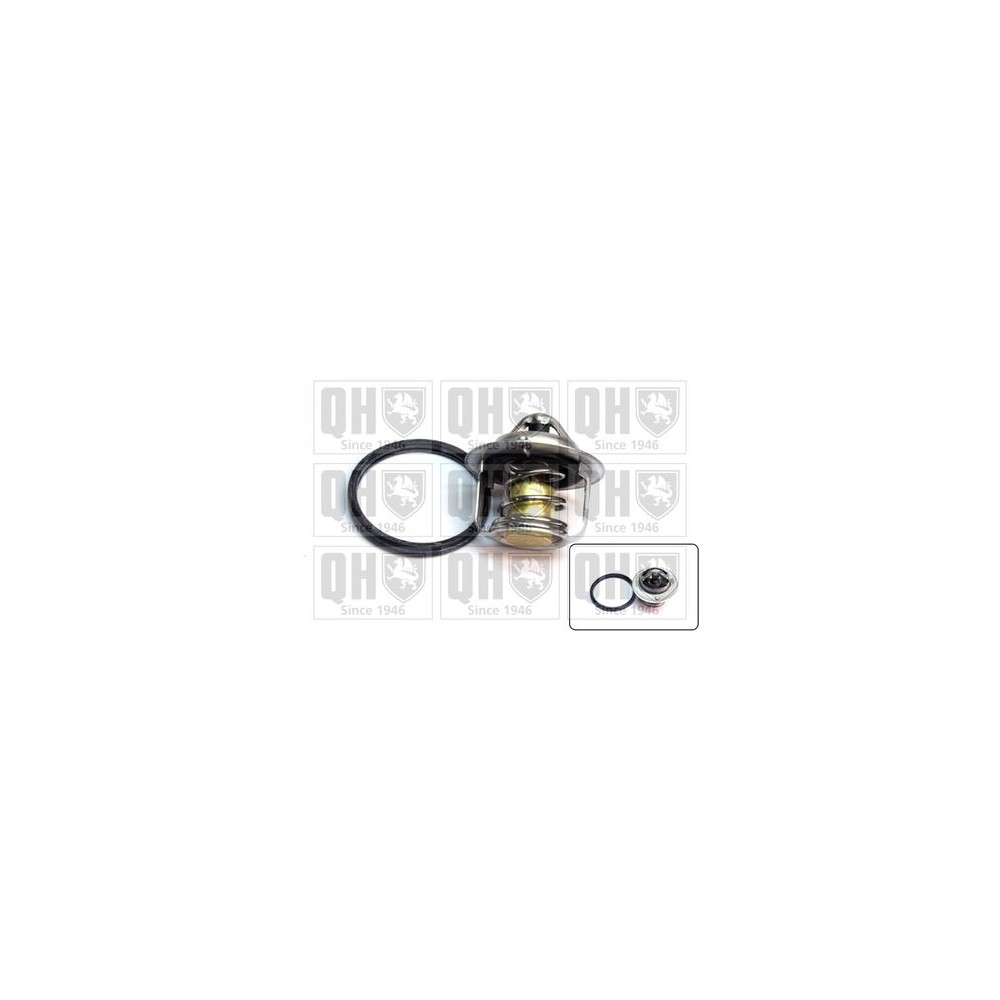 Image for QH QTH630K Thermostat  Kit