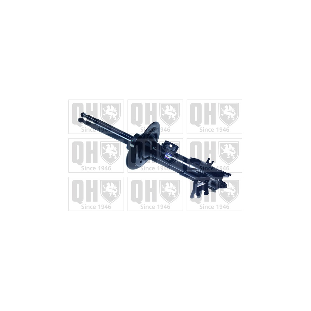 Image for QH QAG181309 Shock Absorber