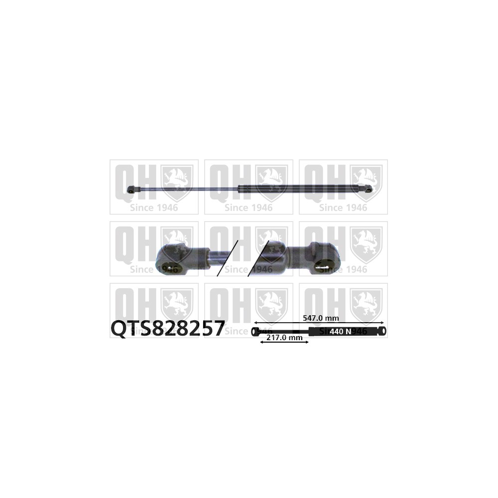 Image for QH QTS828257 Gas Spring