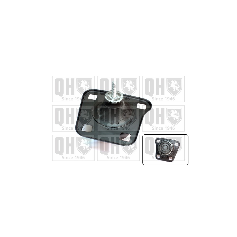 Image for QH EM4192 Engine Mounting