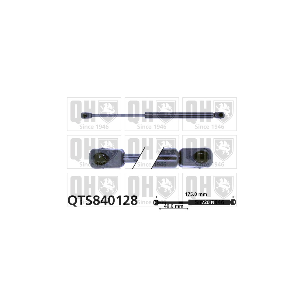 Image for QH QTS840128 Gas Spring