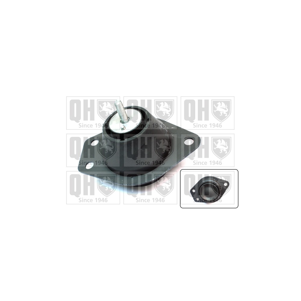 Image for QH EM4419 Engine Mounting