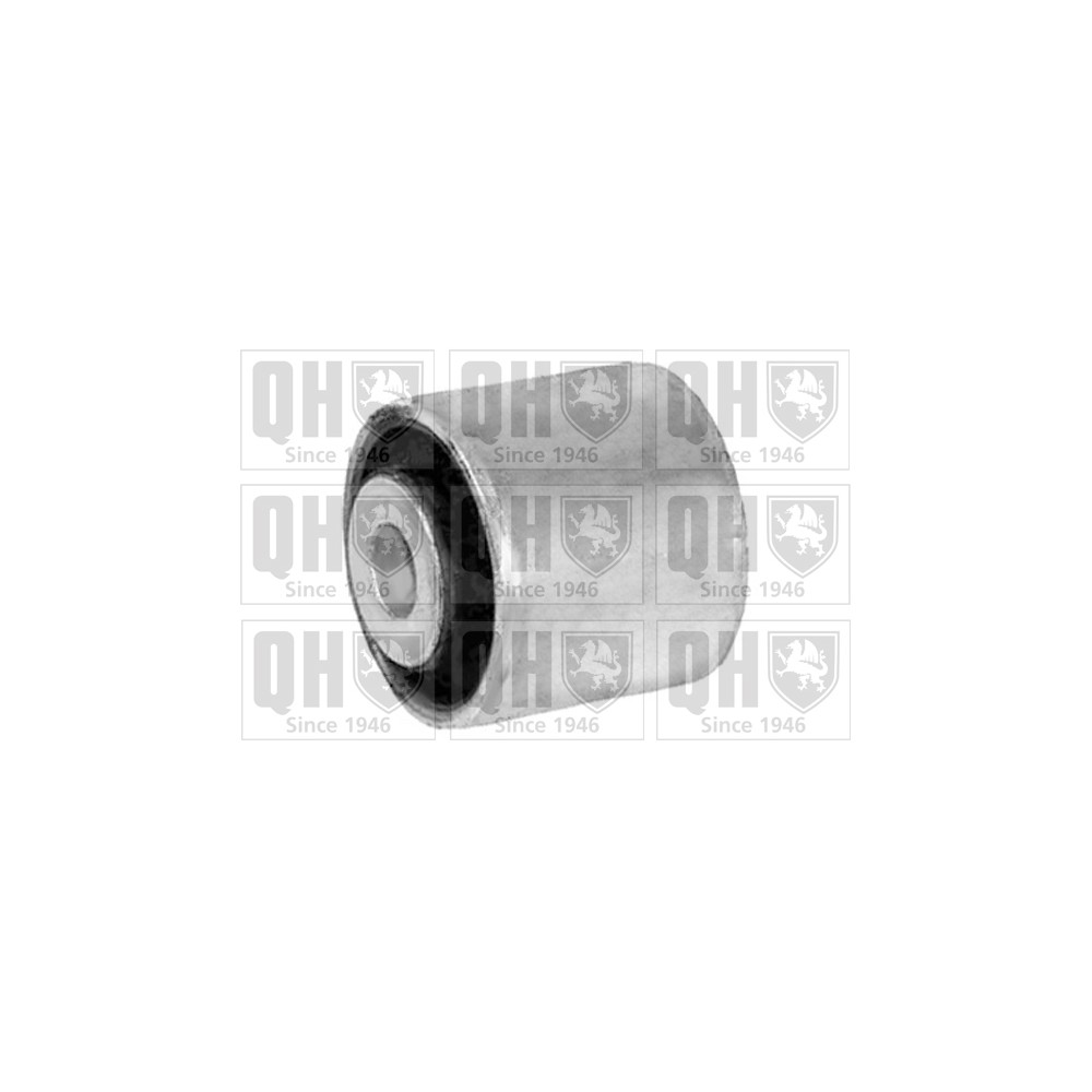 Image for QH EMS8235 Suspension Arm Bush - Front Lower LH & RH (Front)