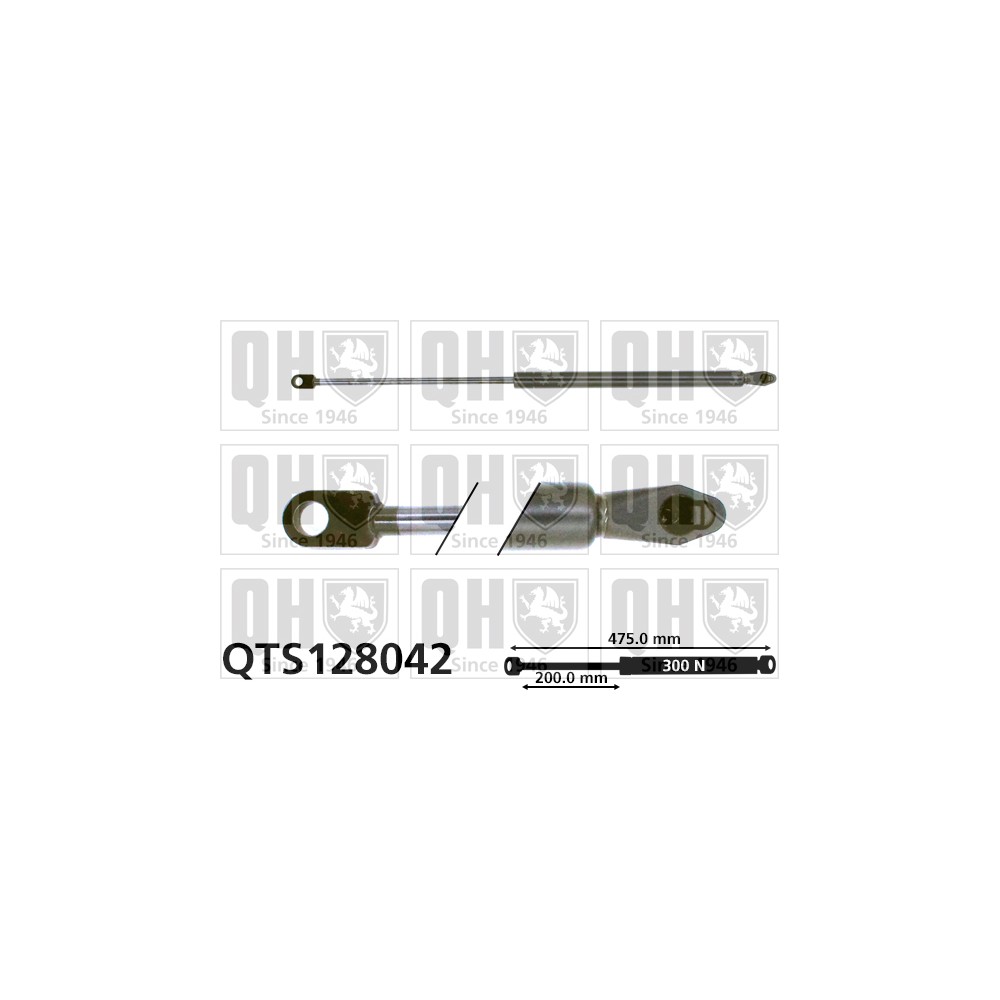 Image for QH QTS128042 Gas Spring
