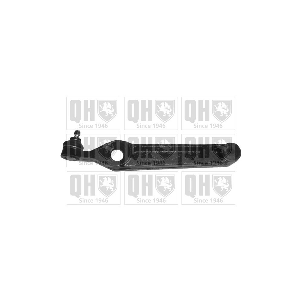 Image for QH QSJ3240S Suspension Arm - Front Lower LH & RH