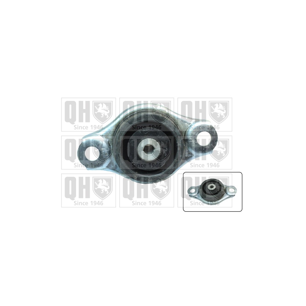 Image for QH EM4566 Engine Mounting