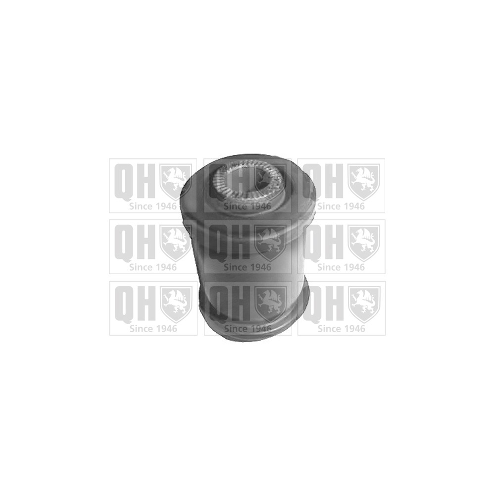 Image for QH EMS8010 Suspension Arm Bush - Front Lower LH & RH (Front)