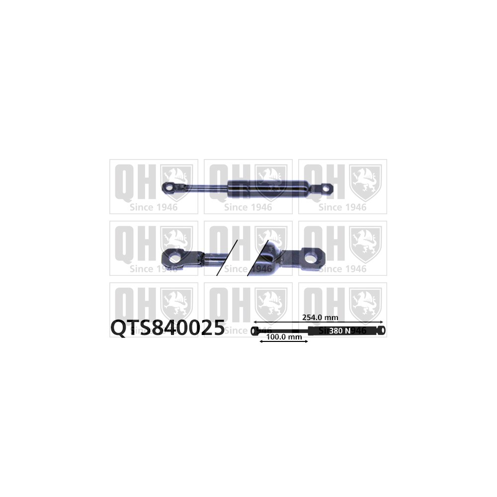 Image for QH QTS840025 Gas Spring