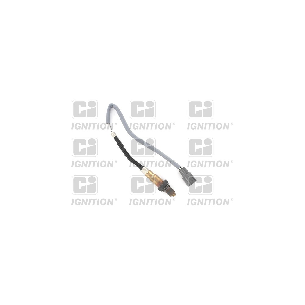 Image for Oxygen Sensor