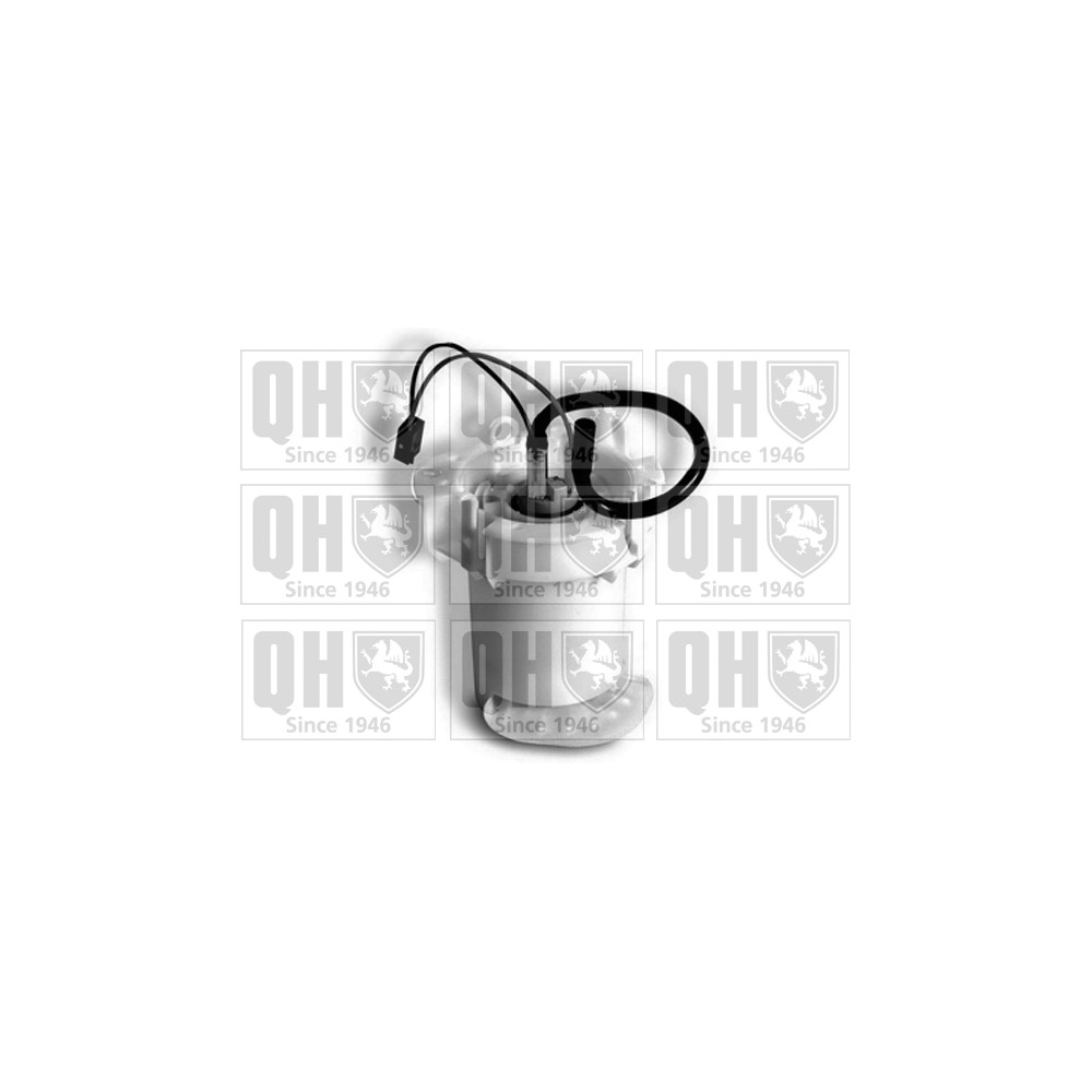 Image for QH QFP819 Fuel Pump