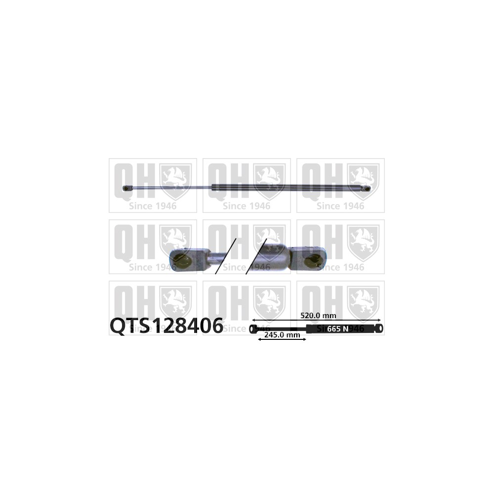 Image for QH QTS128406 Gas Spring