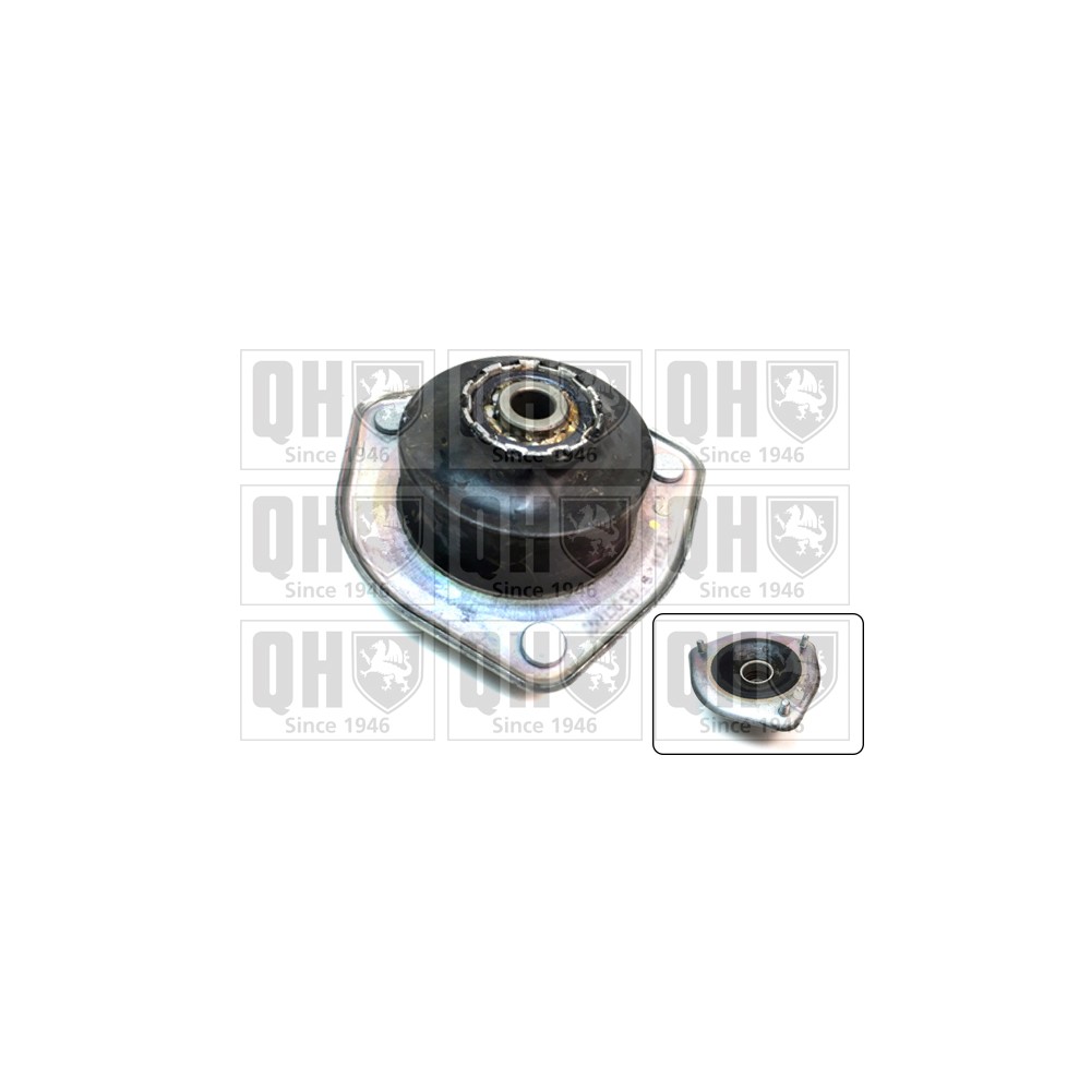 Image for QH EMA4939 Top Strut Mounting- inc Bearing