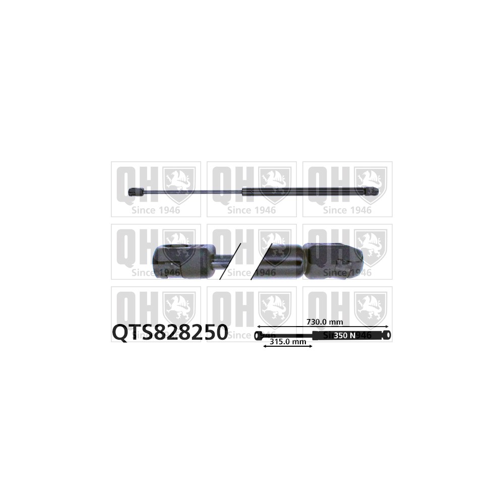 Image for QH QTS828250 Gas Spring