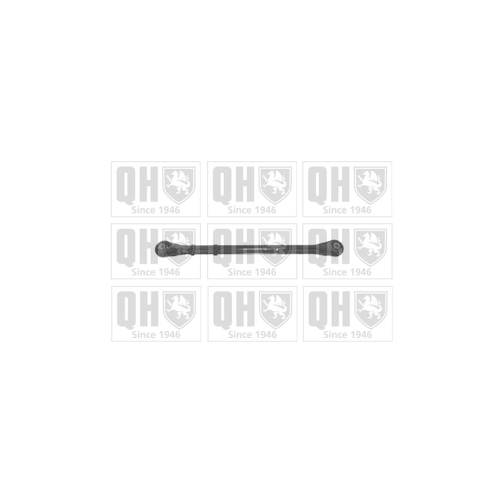 Image for QH QSJ3498S Suspension Arm - Rear Lower LH & RH (Rear)