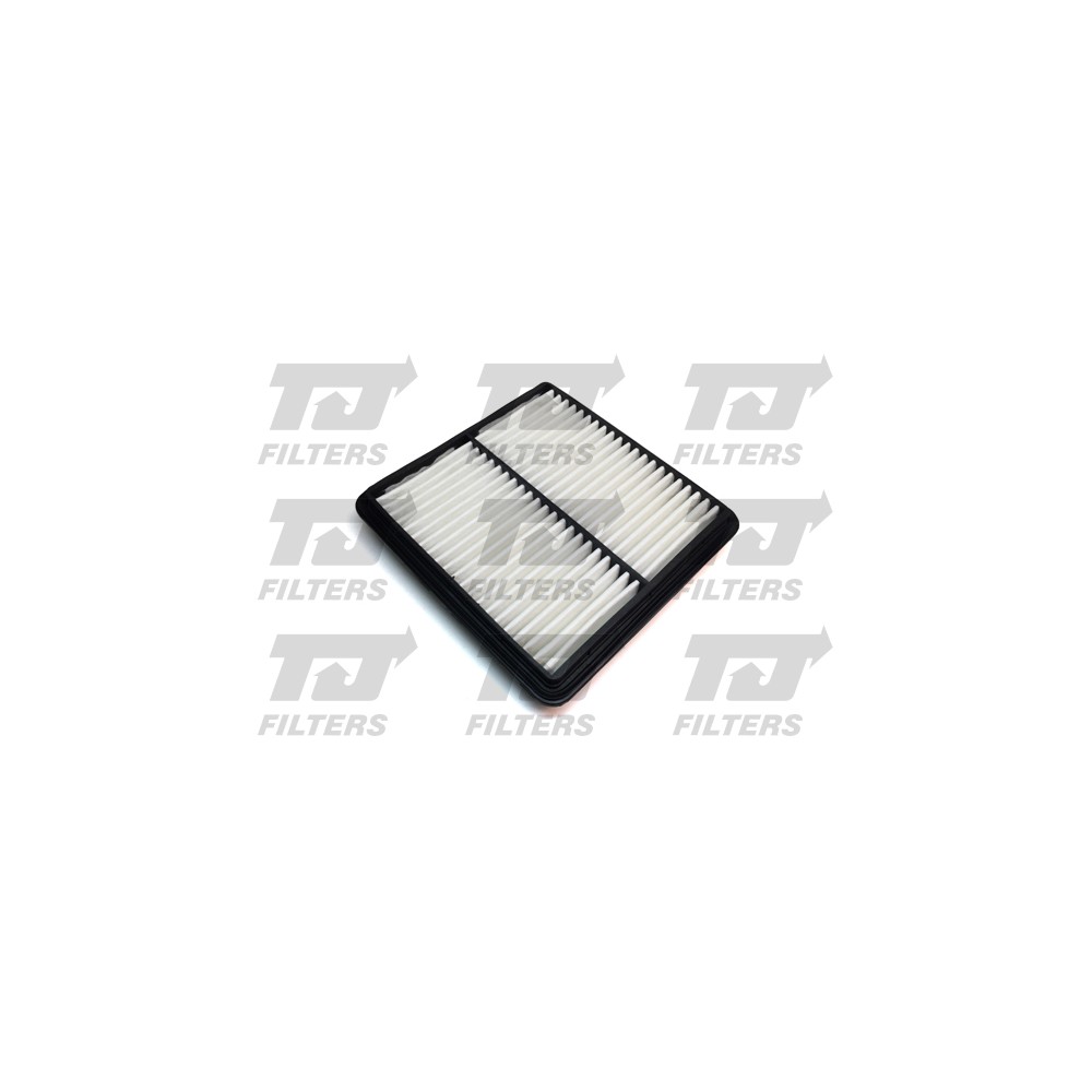 Image for TJ QFA0162 Air Filter