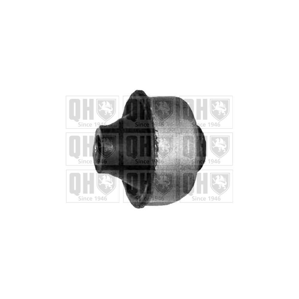 Image for QH EMS8044 Suspension Arm Bush - Front Lower LH & RH (Rear)