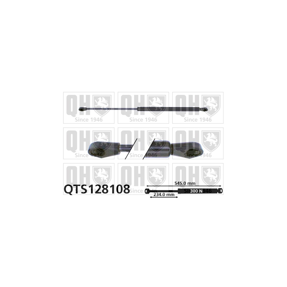 Image for QH QTS128108 Gas Spring