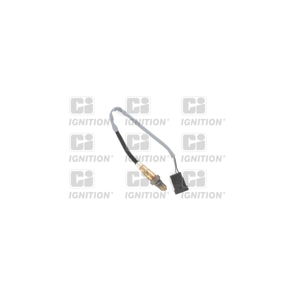 Image for CI XLOS1144 Oxygen Sensor