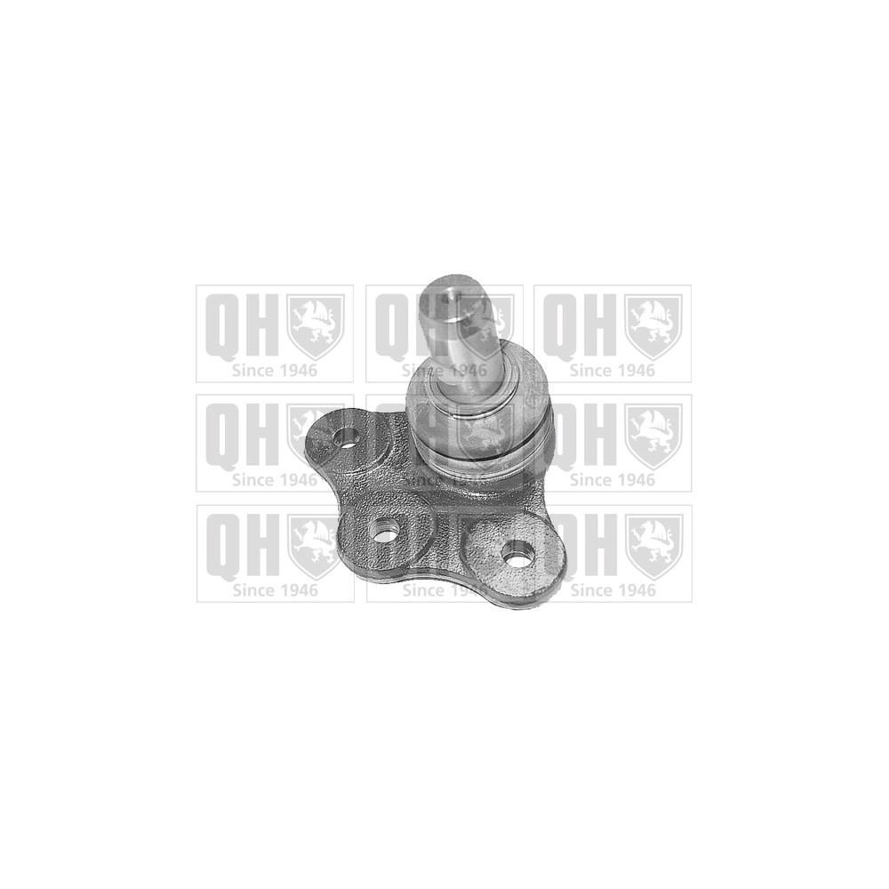 Image for QH QSJ9542S Ball Joint - Front Lower LH & RH