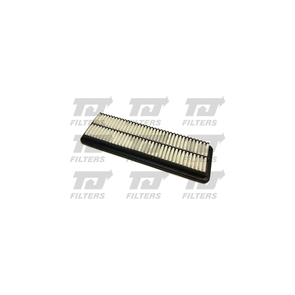 Image for TJ QFA0970 Air Filter