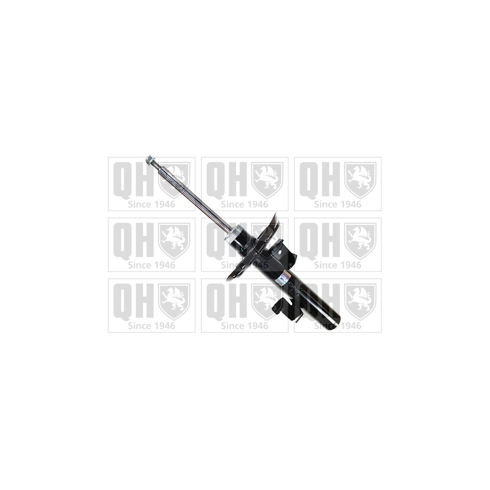 Image for QH QAG878136 Shock Absorber