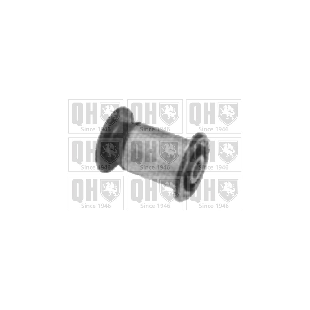 Image for QH EMS8153 Suspension Arm Bush - Front Lower LH & RH (Front)