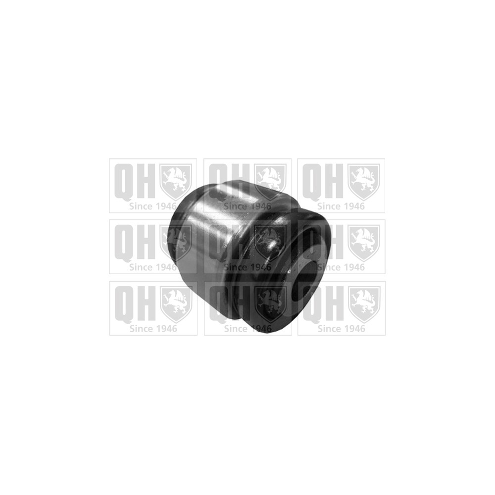 Image for QH EMS8346 Suspension Arm Bush - Rear Upper LH & RH