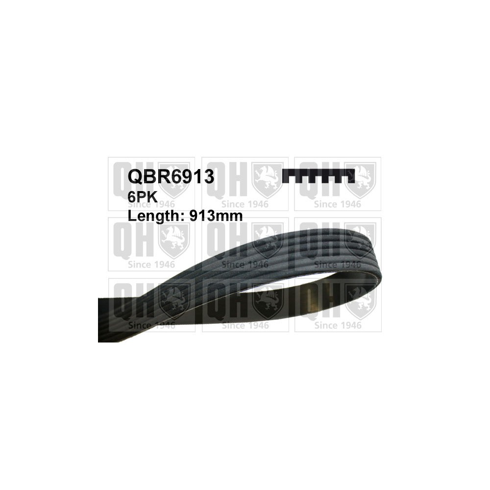 Image for QH QBR6913 Drive Belt