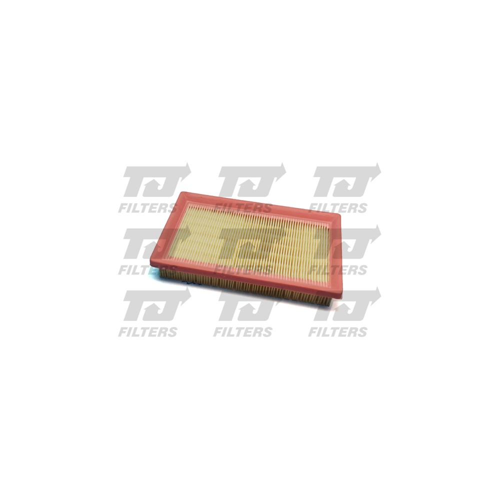 Image for TJ QFA0824 Air Filter