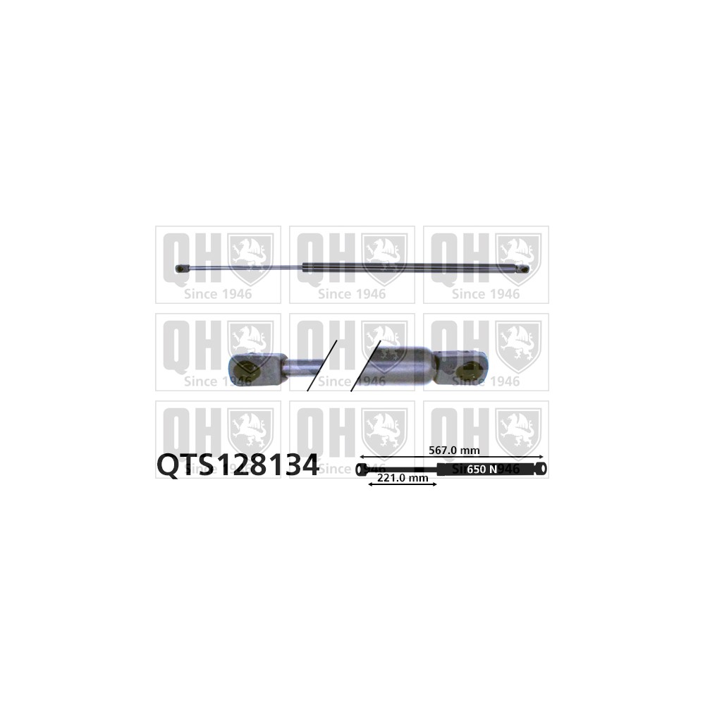 Image for QH QTS128134 Gas Spring