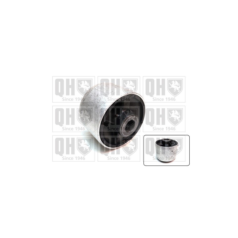 Image for QH EMS8509 Suspension Arm Bush - Front Lower LH & RH (Rear)