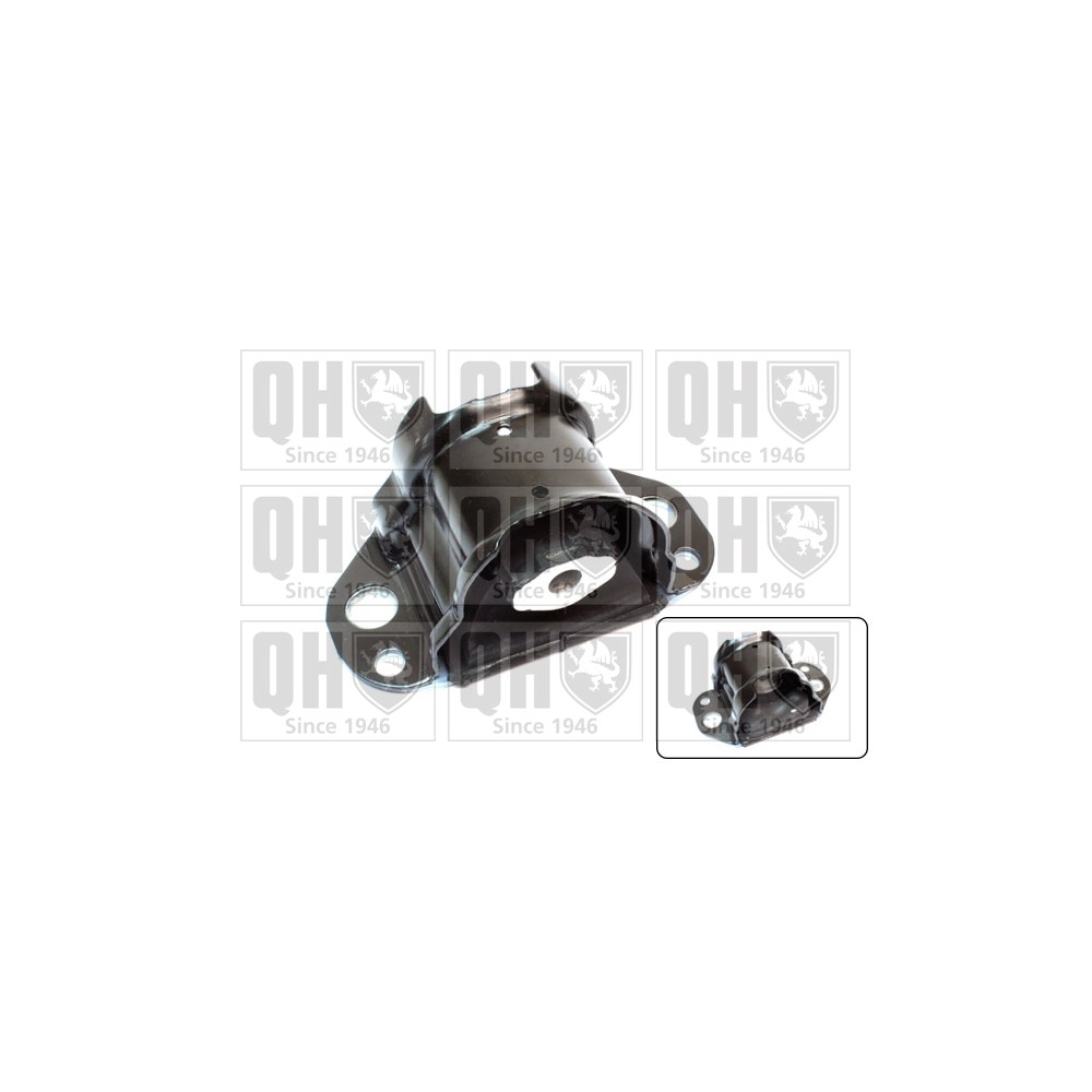 Image for QH EM4227 Engine Mounting