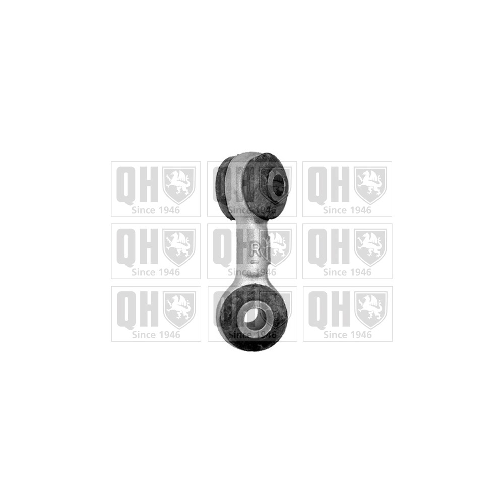 Image for QH QLS3247S Stabiliser Link - Front RH