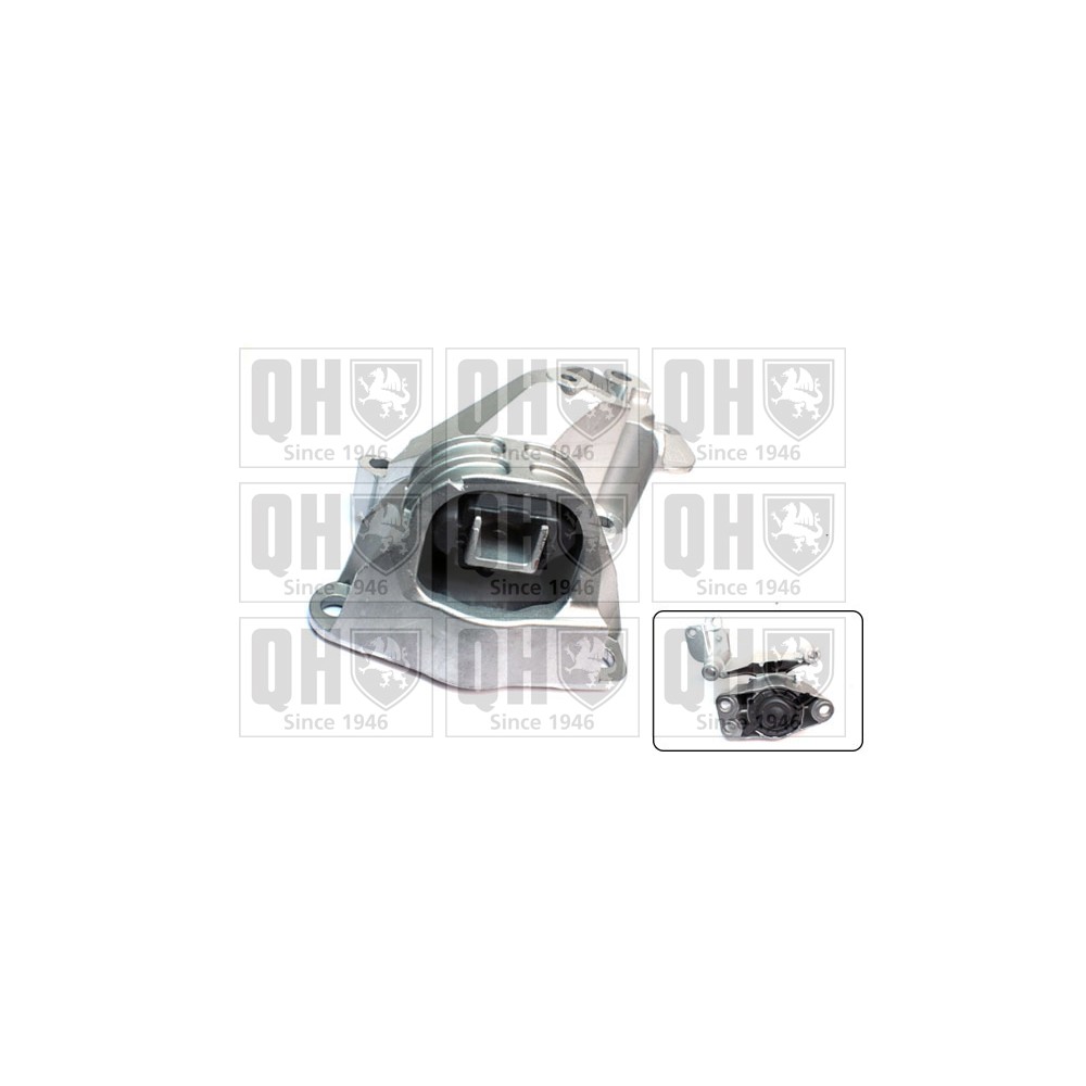 Image for QH EM4668 Engine Mounting