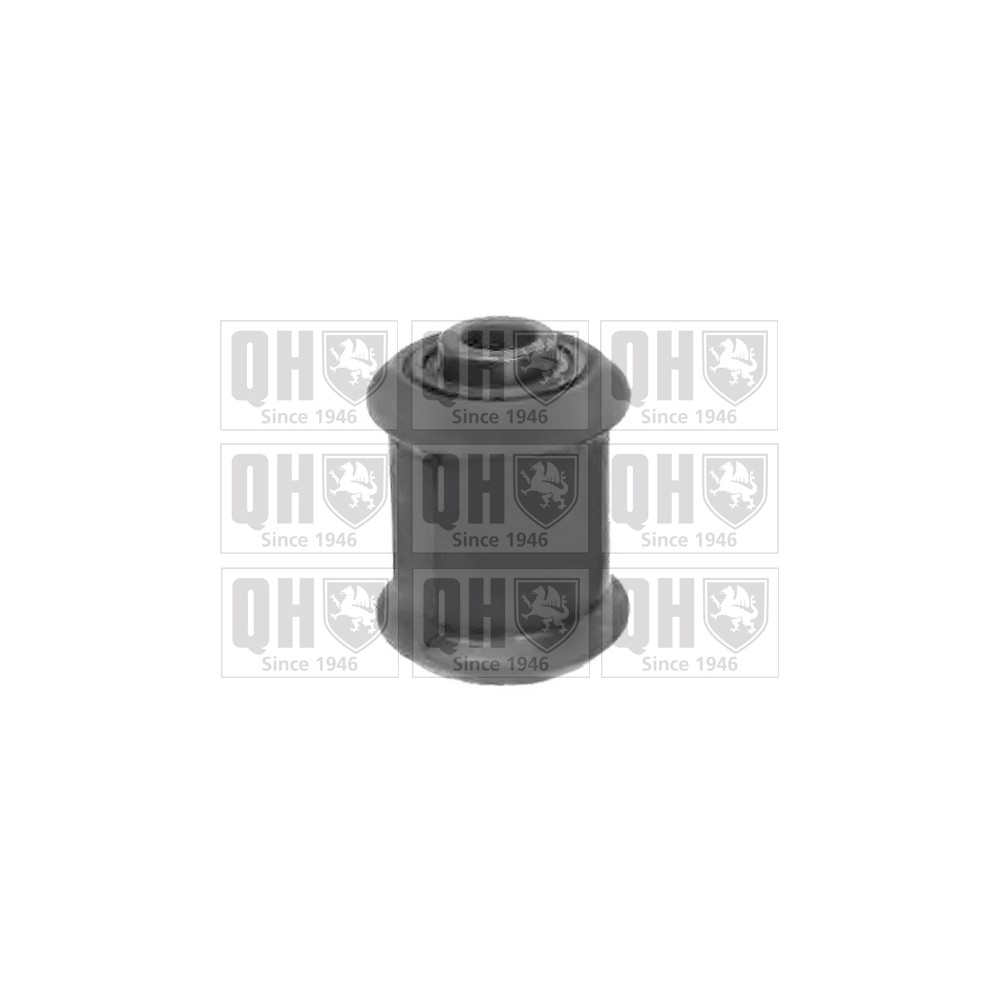 Image for QH EMS8207 Suspension Arm Bush - Front Lower LH & RH (Front)