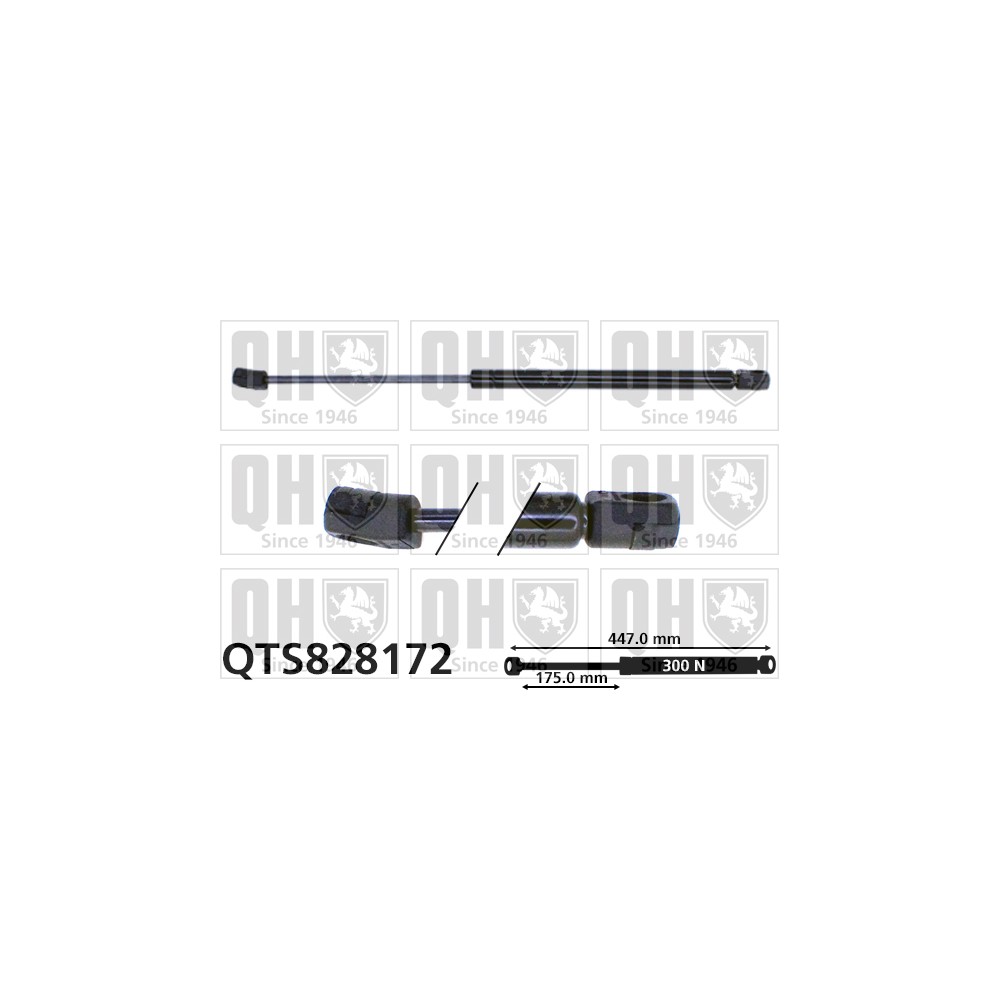 Image for QH QTS828172 Gas Spring