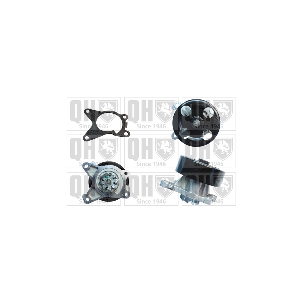 Image for QH QCP3691 Water Pump