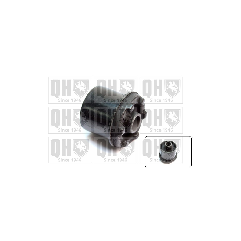 Image for QH EMS8255 Suspension Arm Bush - Front Lower LH & RH (Rear)