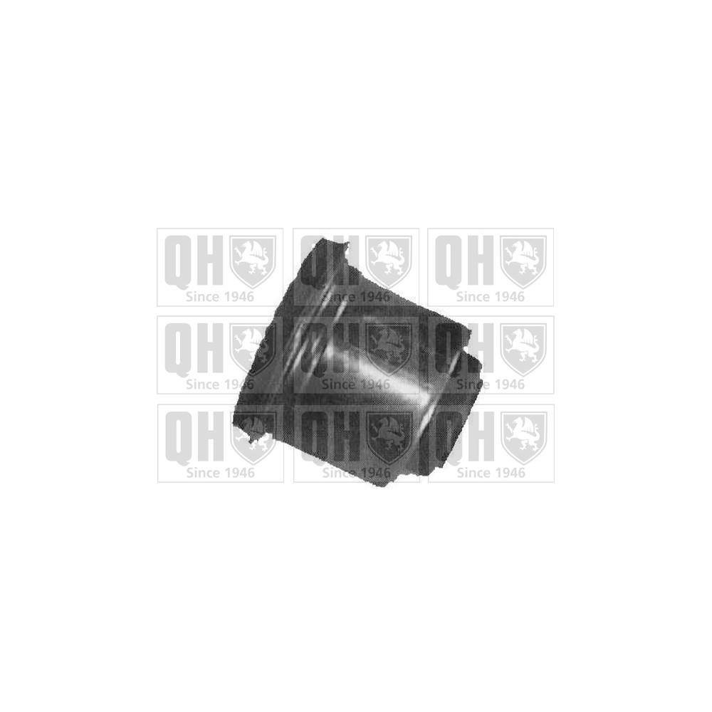 Image for QH EMS2668 Suspension Arm Bush - Front Lower LH & RH (Rear)