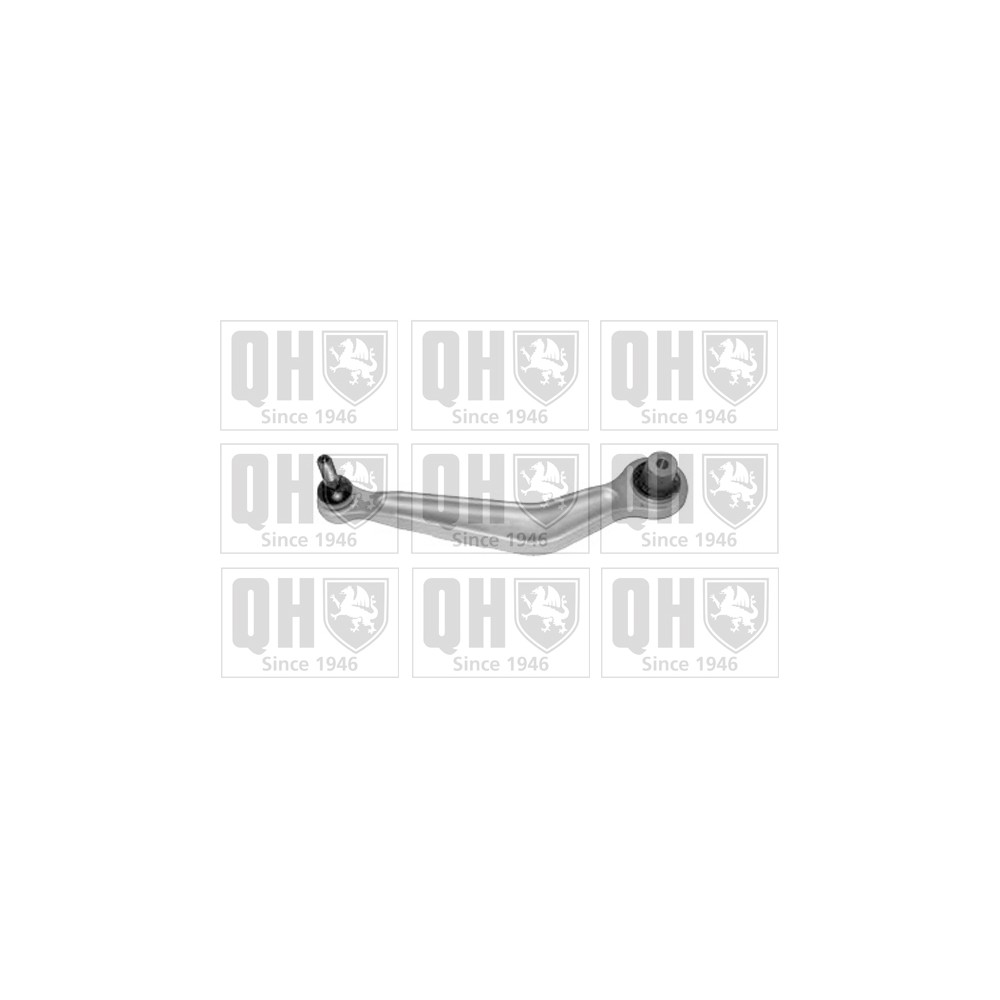 Image for QH QSJ3346S Suspension Arm - Rear Upper LH (Rear)