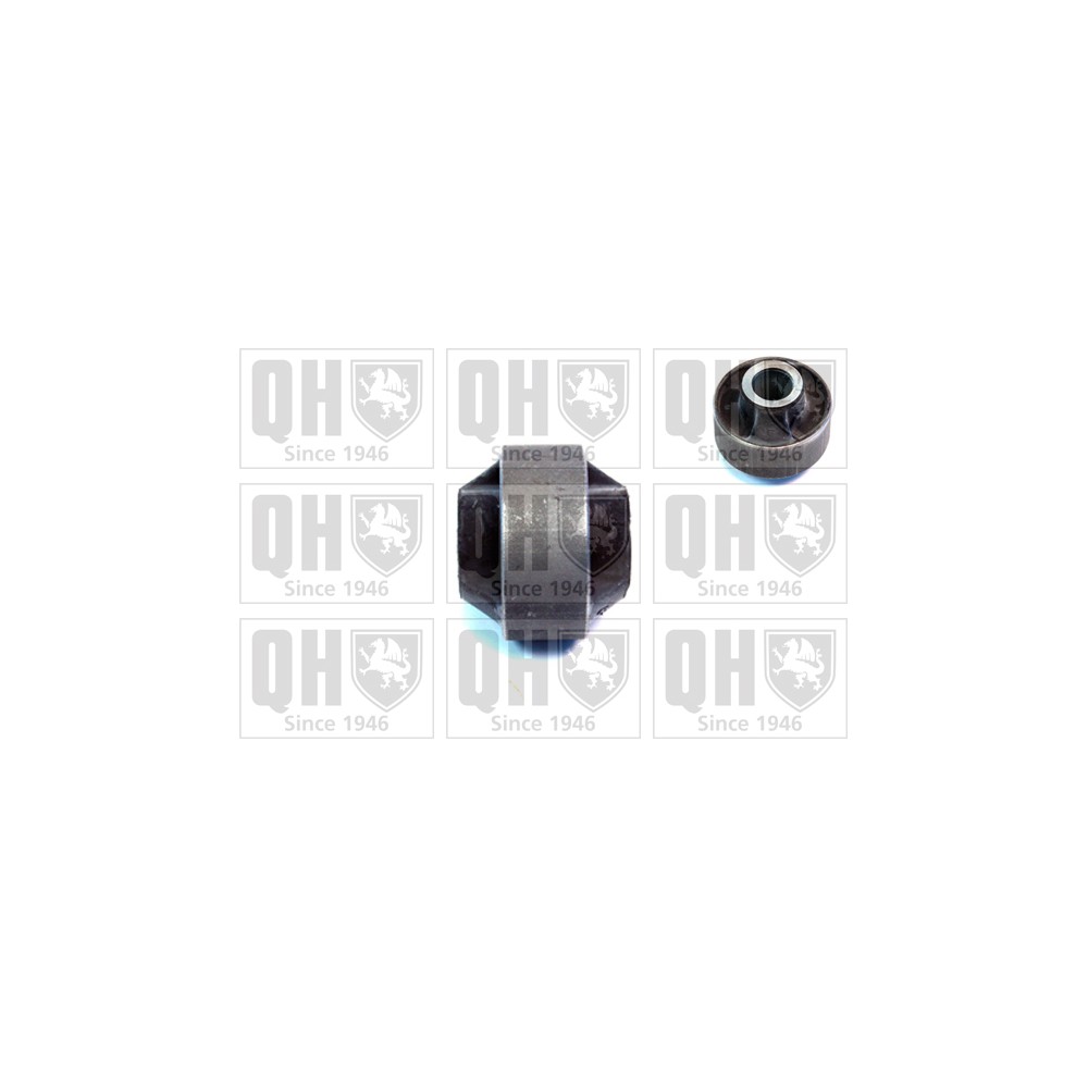 Image for QH EMS8549 Suspension Arm Bush - Front Lower LH & RH (Rear)