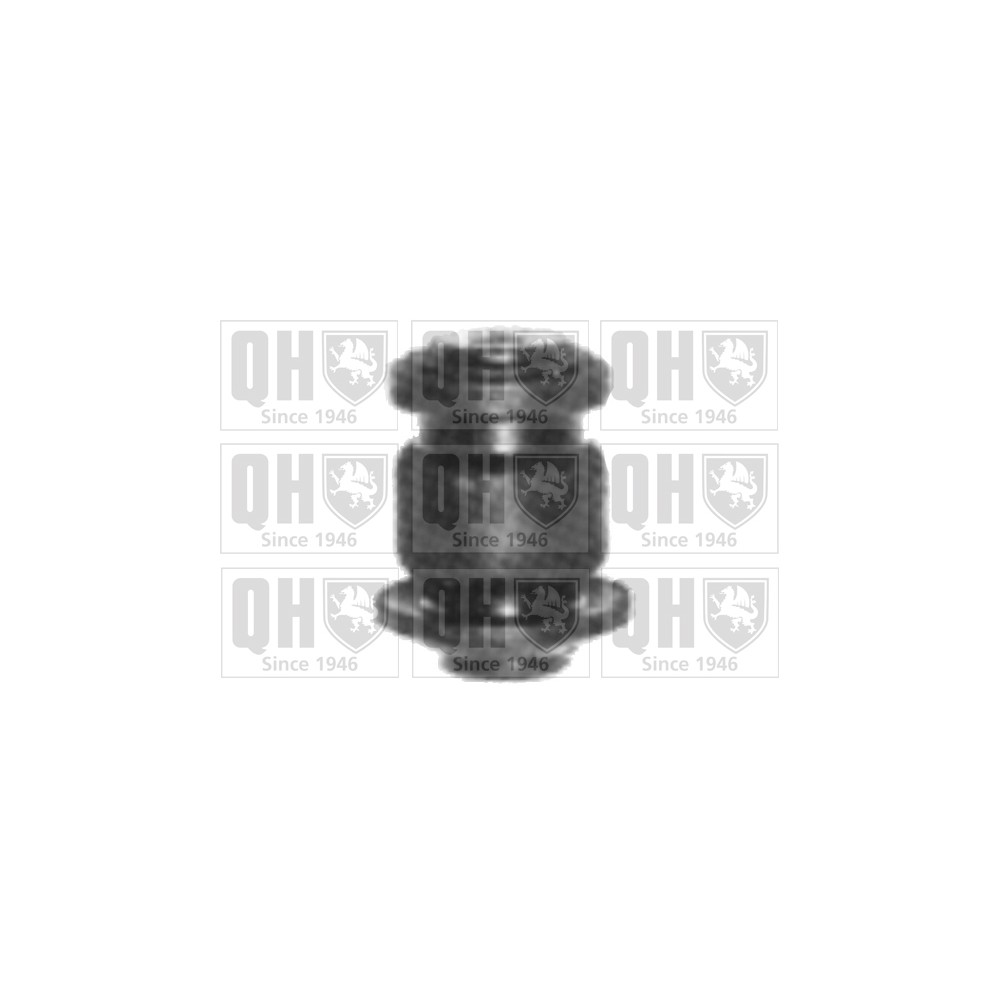 Image for QH EMS8155 Suspension Arm Bush - Front Lower LH & RH (Front)