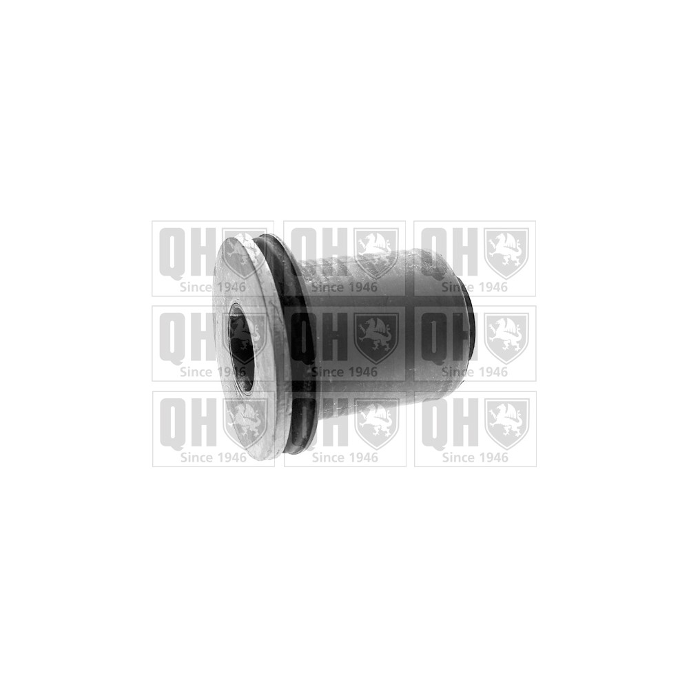 Image for QH EMS8197 Suspension Arm Bush - Front Lower LH & RH (Rear)