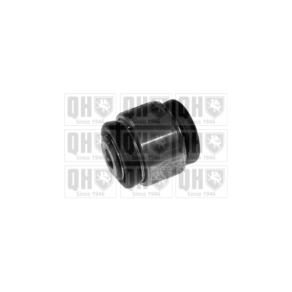 Image for QH EMS1962 Suspension Arm Bush - Rear Lower LH & RH (Rear)