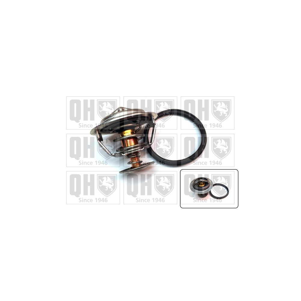 Image for QH QTH932K Thermostat Kit