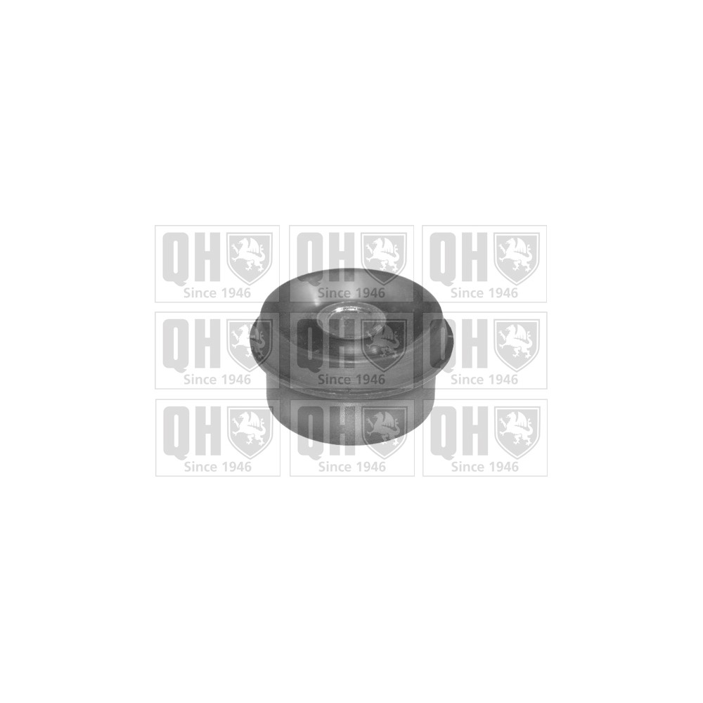 Image for QH EMS8330 Suspension Arm Bush - Rear LH & RH