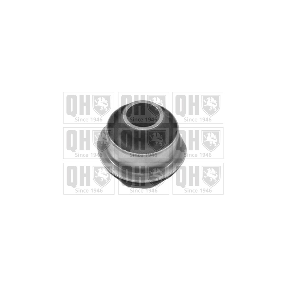 Image for QH EMS8466 Suspension Arm Bush - Front Lower LH & RH (Rear)