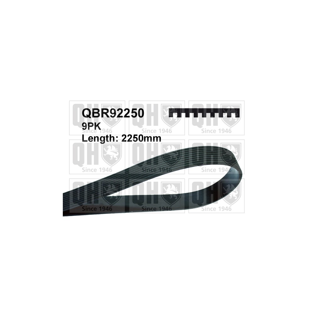 Image for QH QBR92250 Drive Belt